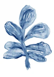 Indigo Aquarell Botanik
