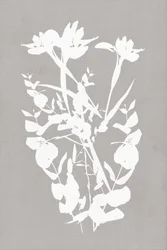 Moderne Botanische Silhouetten
