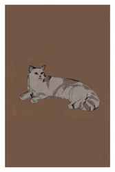 Entspannte graue Katze