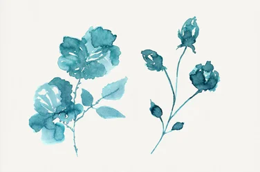 Türkise Aquarellrosen