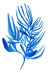 Tropisches Blaues Laub