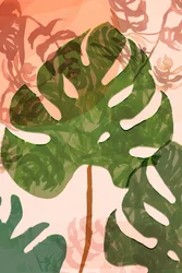 Tropische Monstera-Blätter
