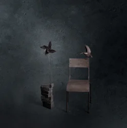 Dunkler Vogel, leerer Stuhl