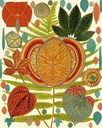 Lebendige botanische Formen