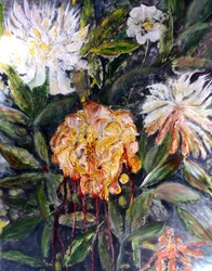 Blutende Pfingstrose, 2017