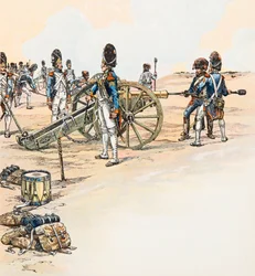 Artilleristen der Großen Armee von Napoleon Bonaparte, Private Sammlung